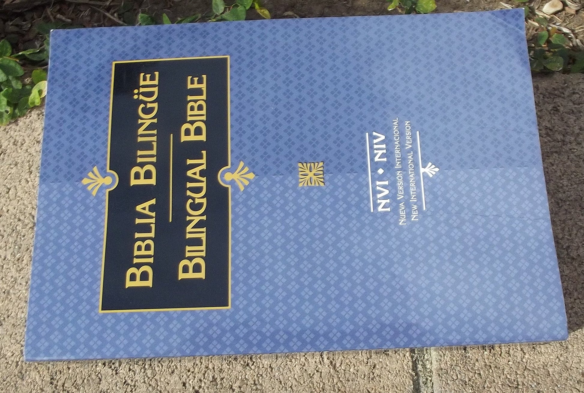 NVI-NIV Bible Biblia Bilingue (Spanish and English Edition)