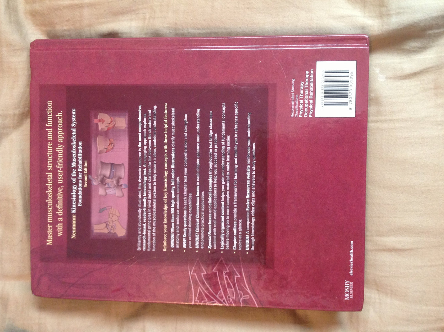 Kinesiology of the Musculoskeletal System: Foundations for R