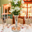 Holly Holden?s Pearls of Palm Beach: A secret peek into eight elegant, timeless and tailored houses