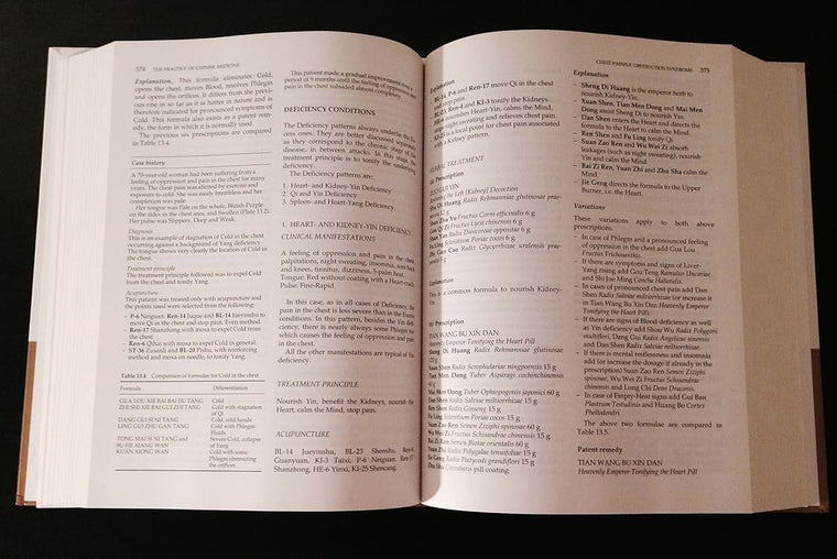The Practice of Chinese Medicine: The Treatment of Diseases