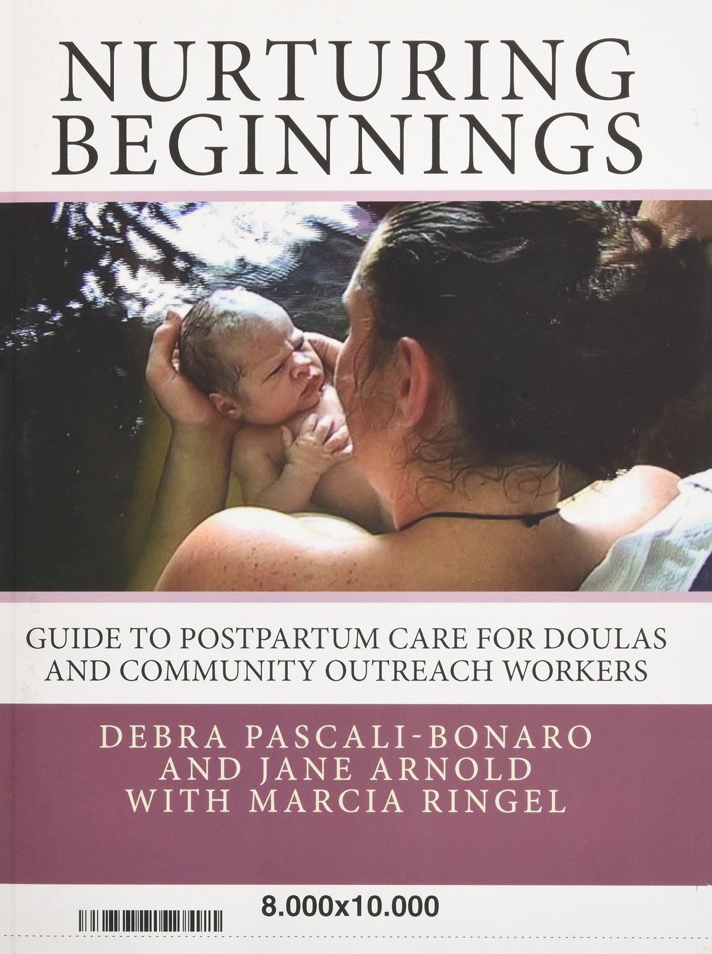 Nurturing Beginnings: Guide to Postpartum Care for Doulas and Community Outreach Workers