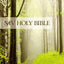 NIV, Value Outreach Bible, Paperback