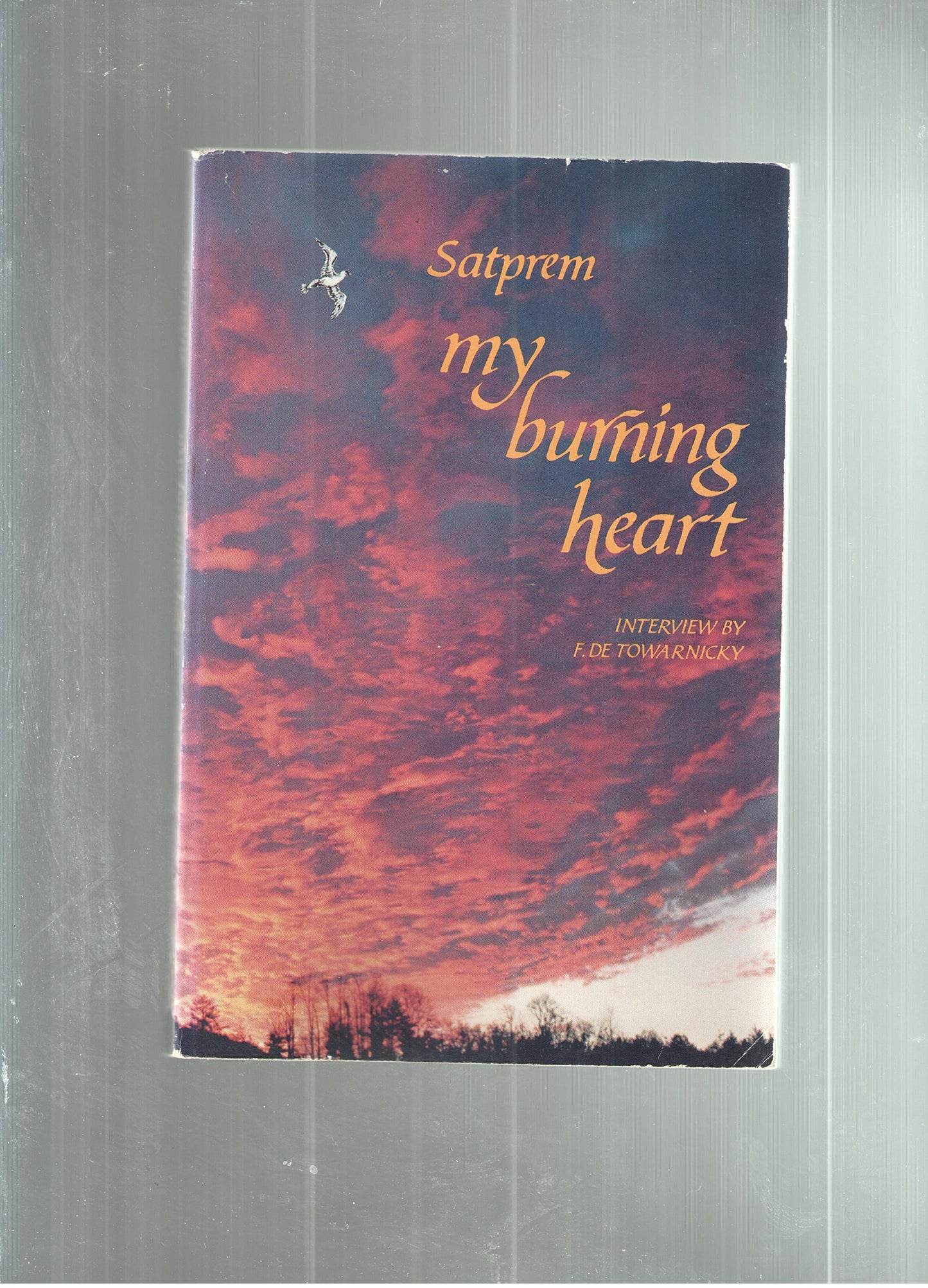 My Burning Heart (English and French Edition)
