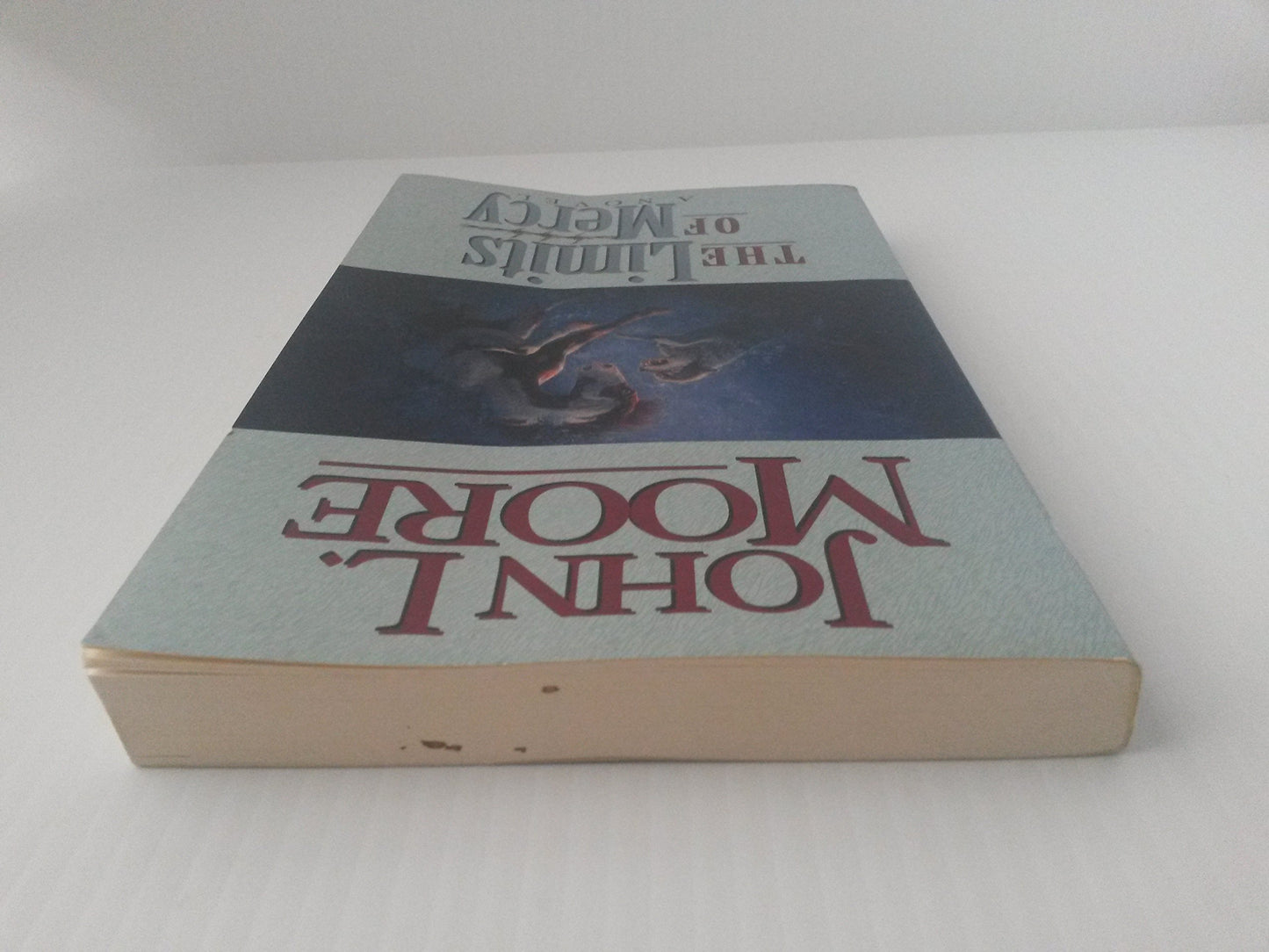 The Limits of Mercy: A Novel