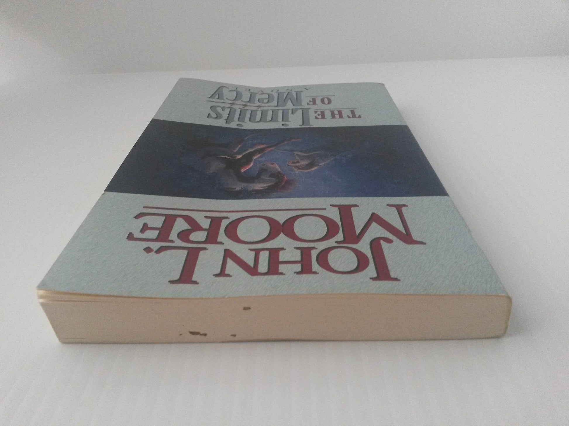 The Limits of Mercy: A Novel