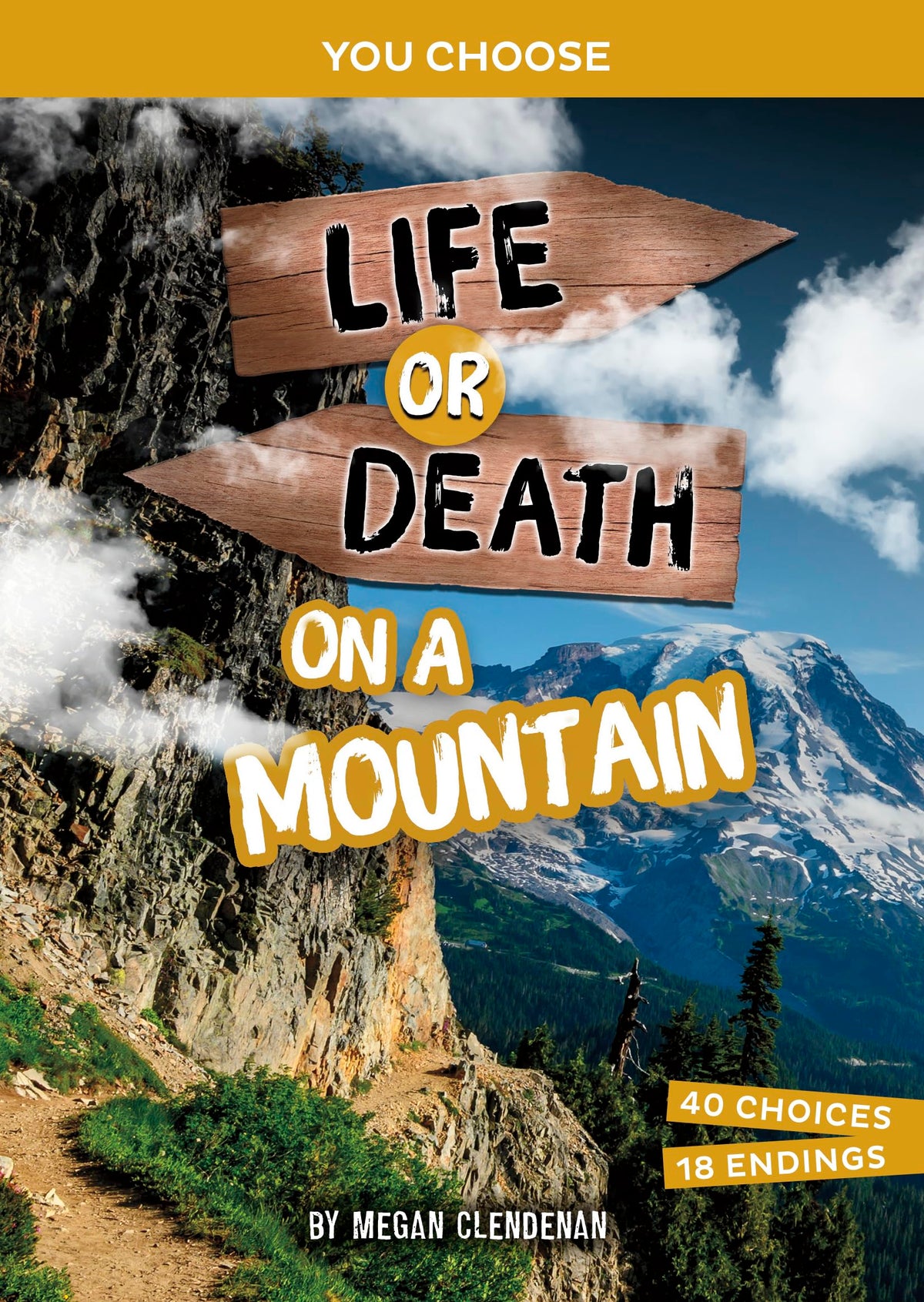 Life or Death on a Mountain: An Interactive Survival Adventure (You Choose Books)