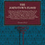 The Johnstown Flood: A Thriving City of 30,000 Inhabitants and Many Great Industrial Establishments Nearly Wiped from Earth: Many Thousands Drowned or ... Hastings in Command in Johnstown (Metalmark)