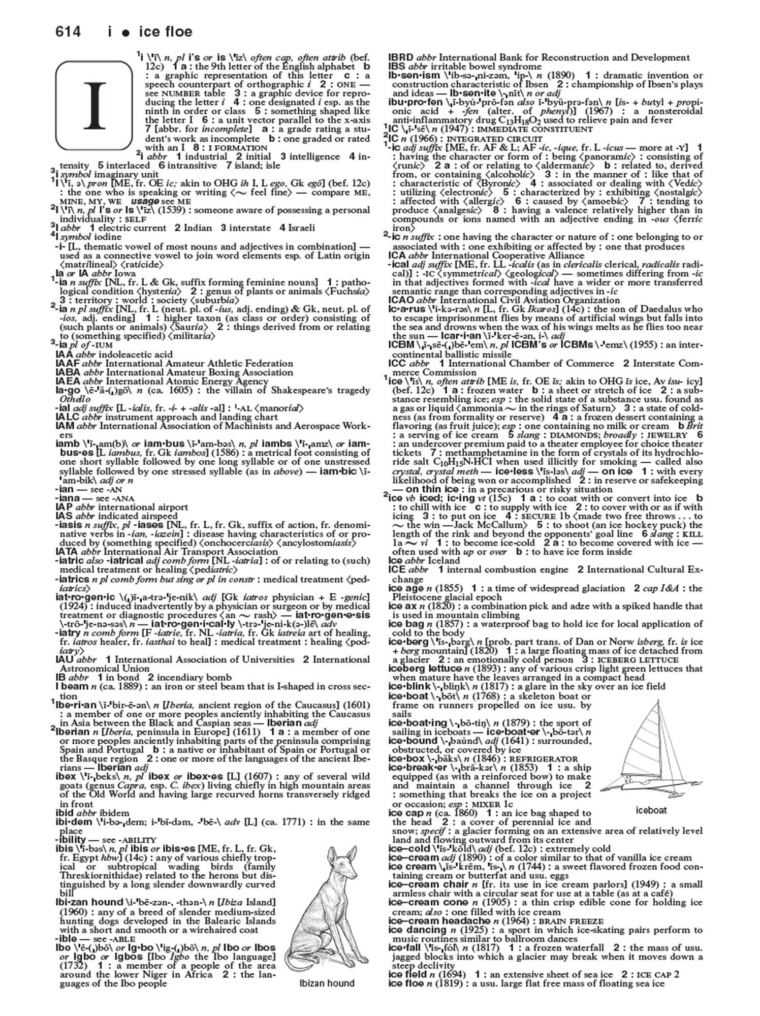 Merriam-Webster's Collegiate Dictionary, 11th Edition, Laminated Hardcover, Plain-Edged (Merriam-Webster's Collegiate Dictionary (Laminated))