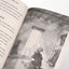 Light in the Lions' Den (AIO Imagination Station Books)