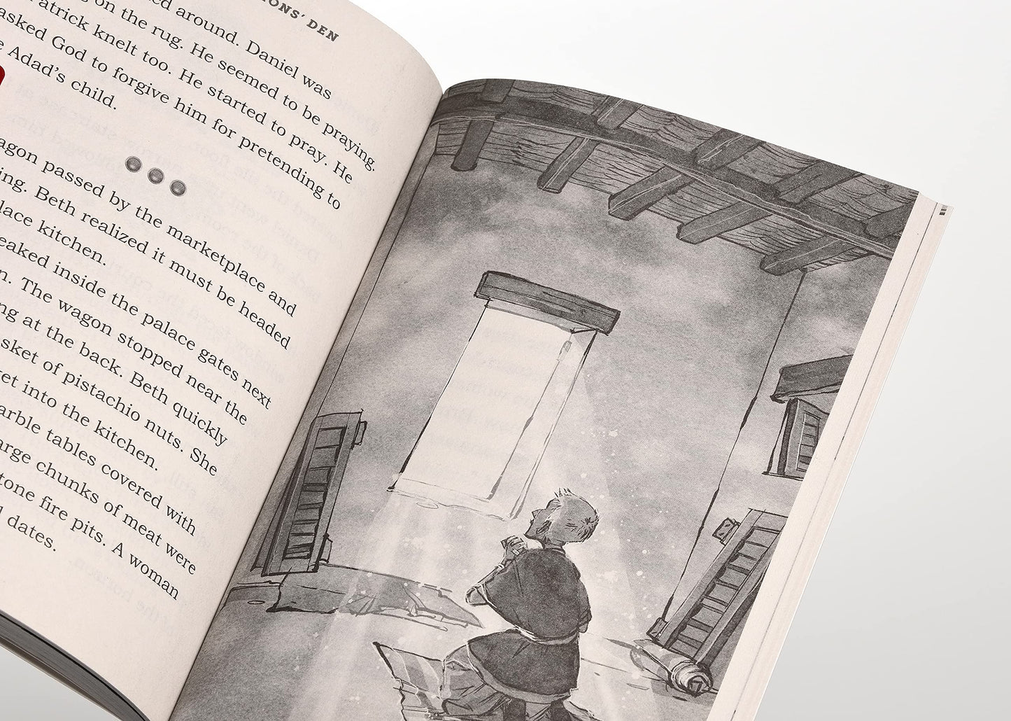Light in the Lions' Den (AIO Imagination Station Books)