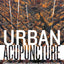 Urban Acupuncture