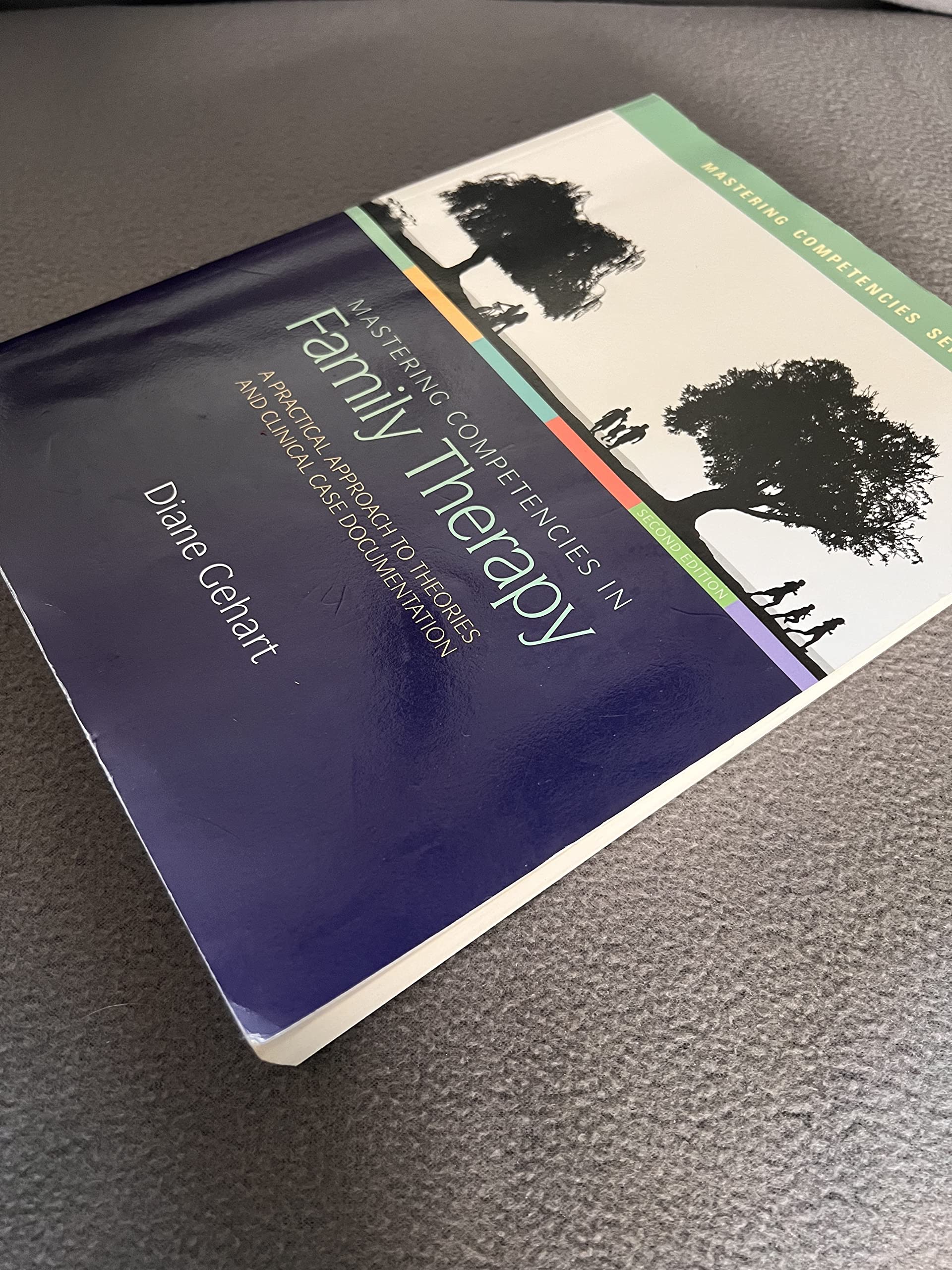 Mastering Competencies in Family Therapy: A Practical Approach to Theory and Clinical Case Documentation