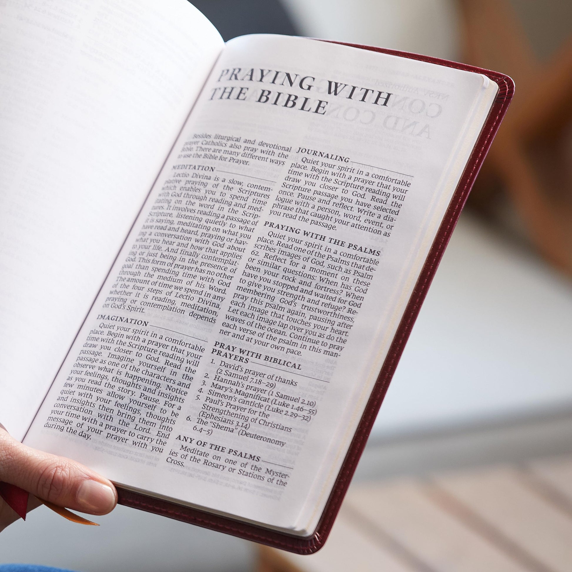 NRSV Large Print Standard Catholic Bible, Black Leathersoft (Comfort Print, Holy Bible, Complete Catholic Bible, NRSV CE): Holy Bible