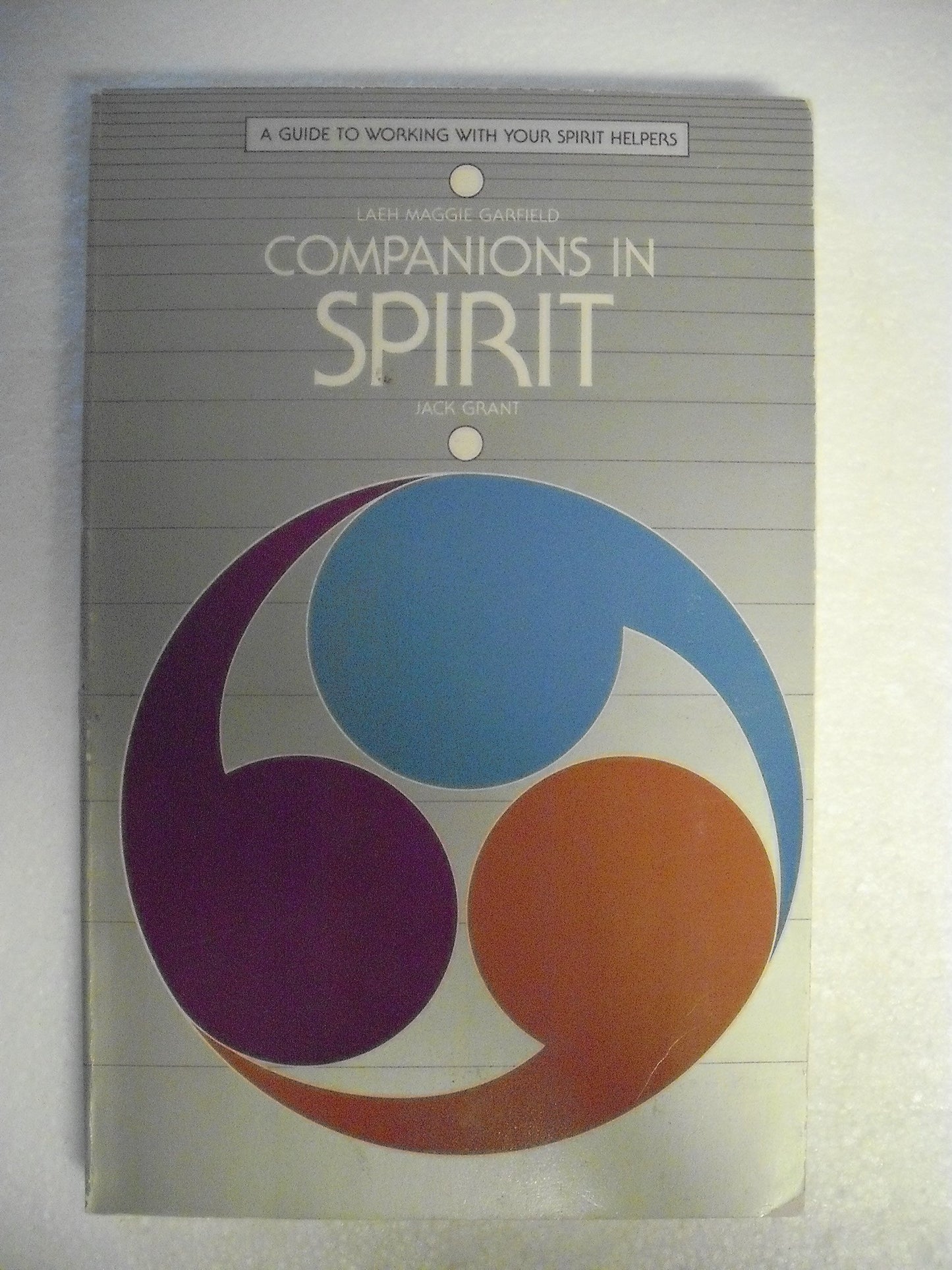 Companions in Spirit by Garfield, Laeh M.