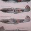 Soviet Combat Aircraft of the Second World War, Vol. 1: Single-Engined Fighters