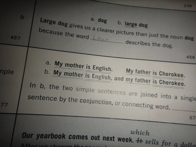English 2600: A Programmed Course in Grammar and Usage, Coll