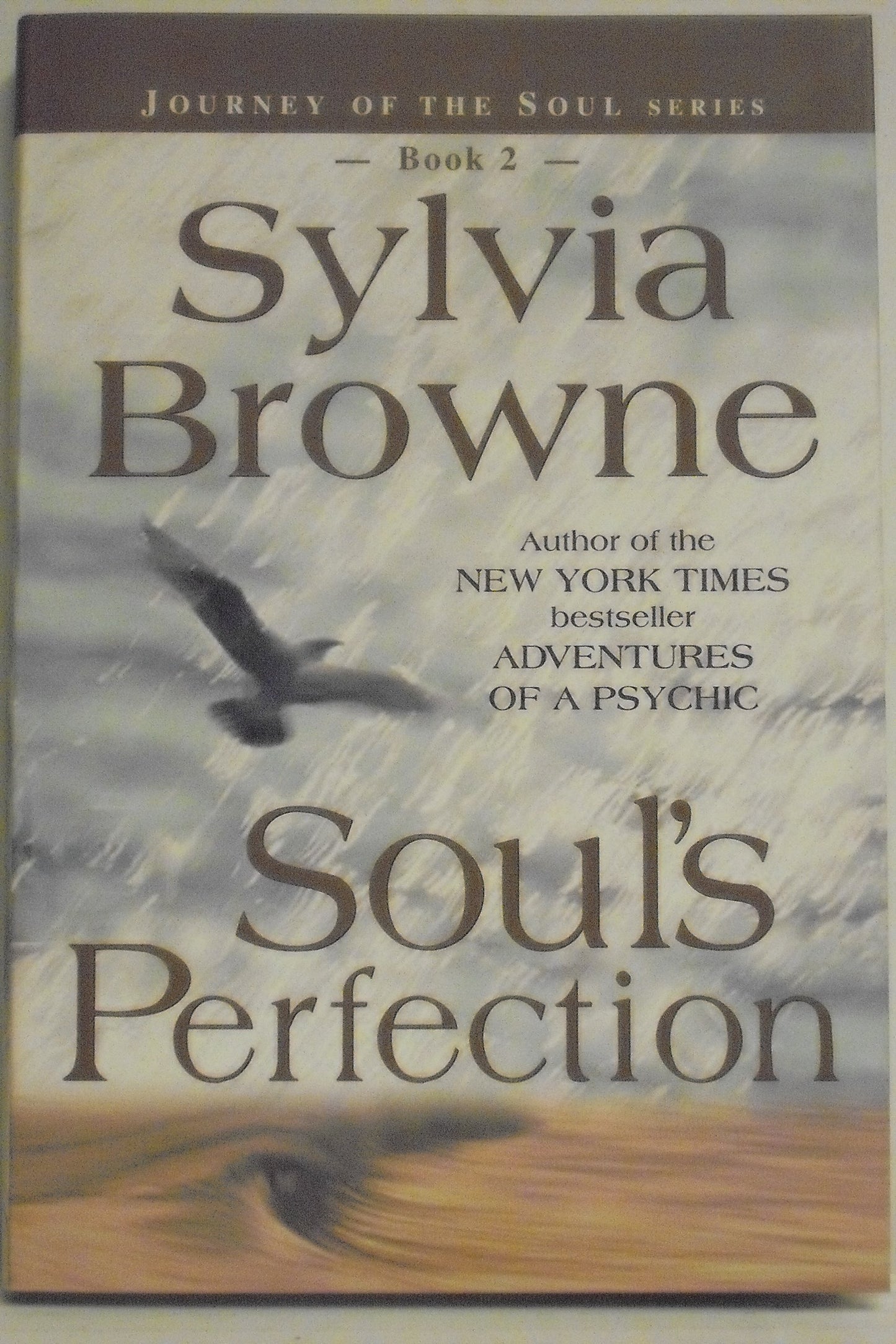 Sylvia Browne's Journey of the Soul
