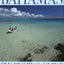 The Bahamas Fly-fishing Guide: Vacation Planning Resource