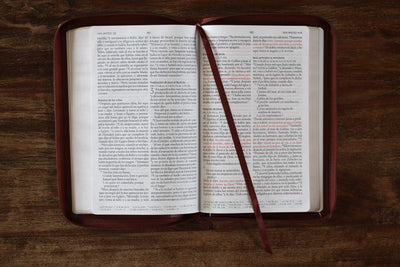 Biblia Reina Valera 1960 letra grande. S?mil piel canela, cremallera, tama?o manual / Spanish Bible RVR 1960. Handy Size, Large Print, Leathersoft, Brown Zip (Spanish Edition)