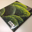 Garden Design Details by Arne Maynard (Paperback, New)