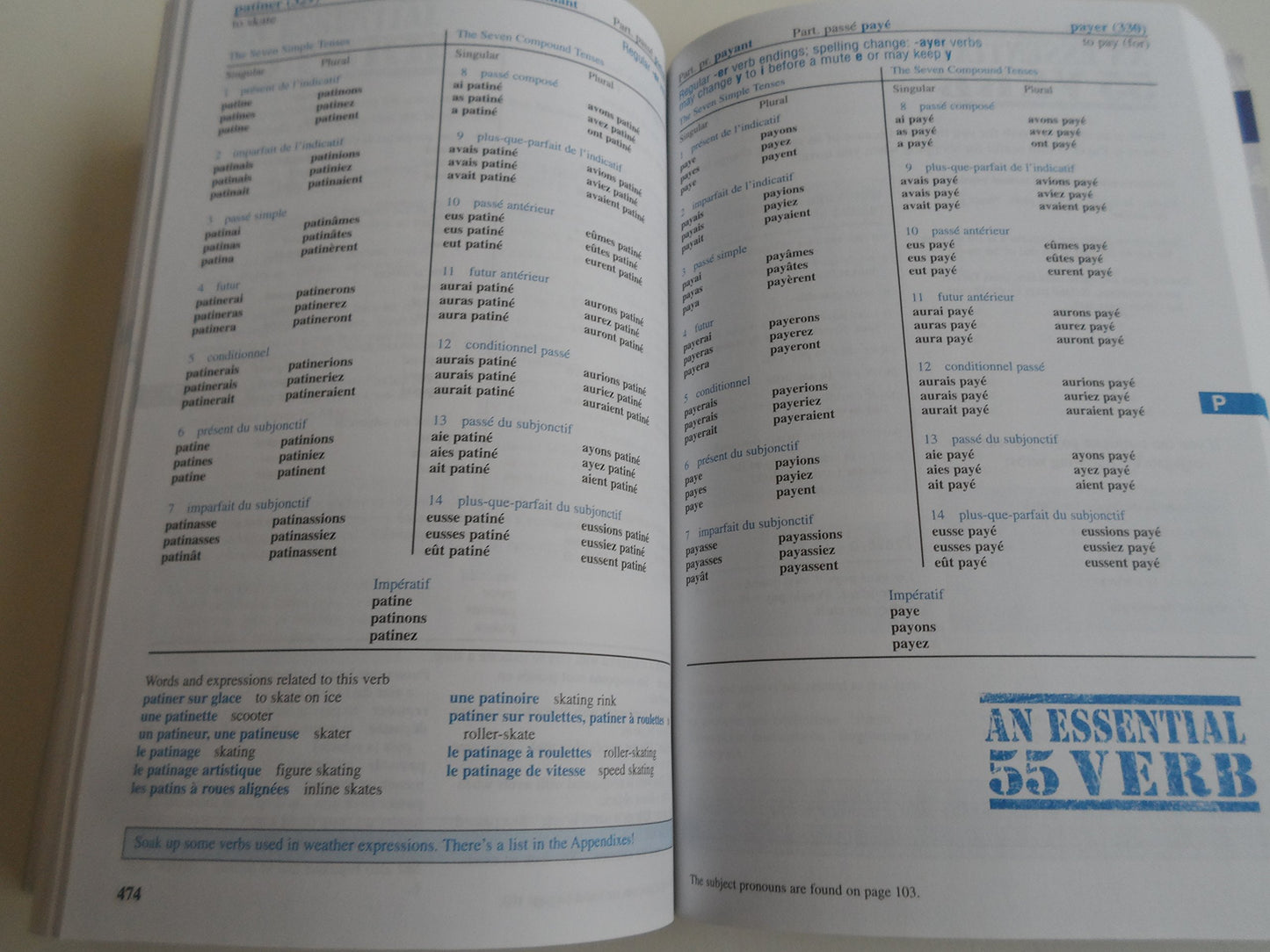 501 French Verbs (Barron's Foreign Language Guides) (French and English Edition)