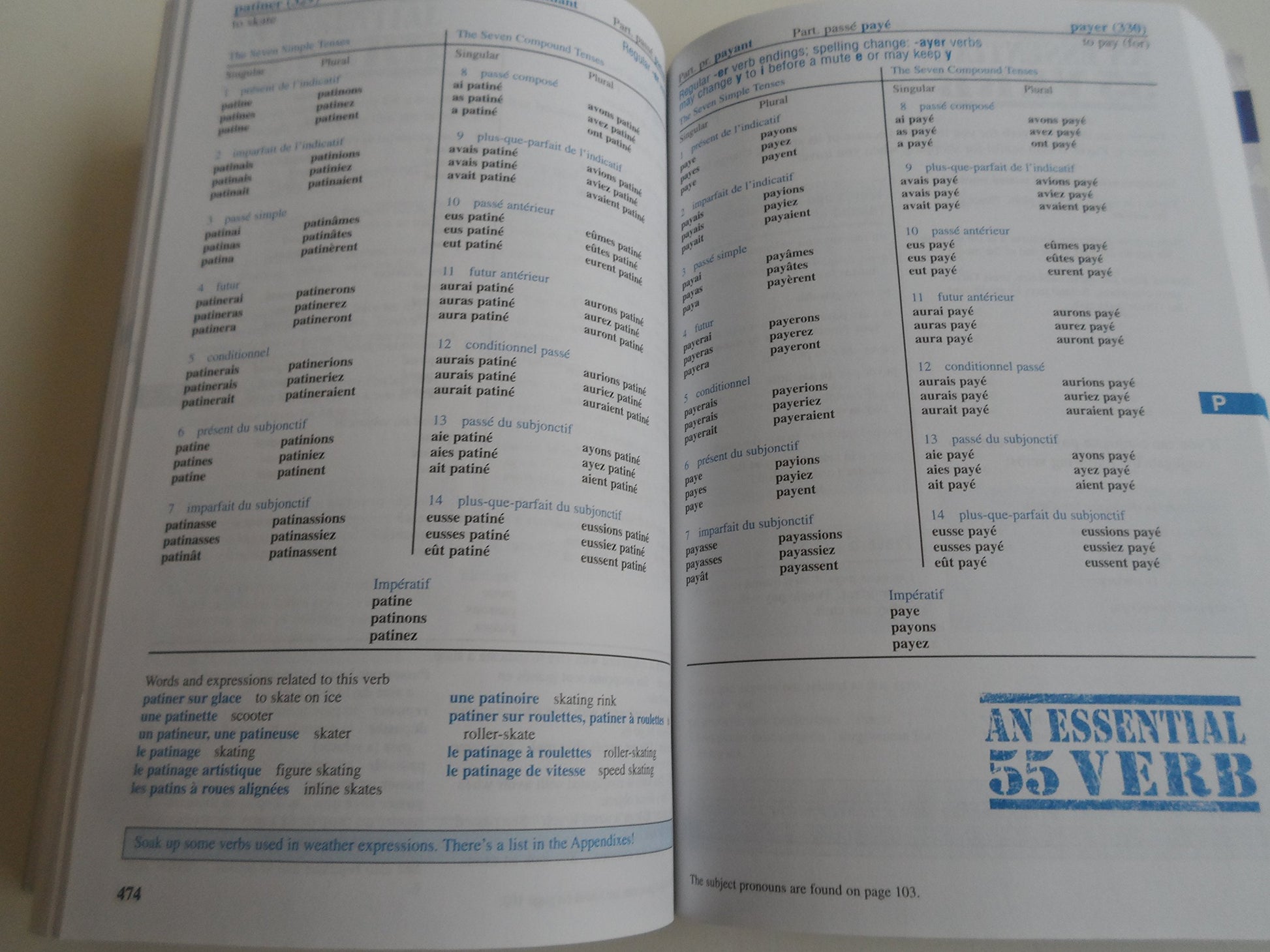 501 French Verbs (Barron's Foreign Language Guides) (French and English Edition)