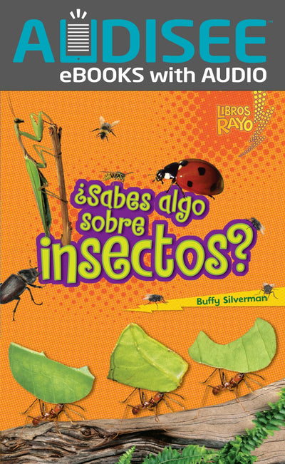 Sabes algo sobre insectos? (Do You Know about Insects?) (Libros Rayo - Conoce los grupos de animales (Lightning Bolt Books  - Meet the Animal Groups)) (Spanish Edition)