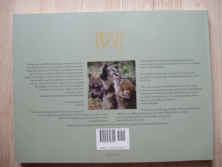 Brother Wolf — back cover