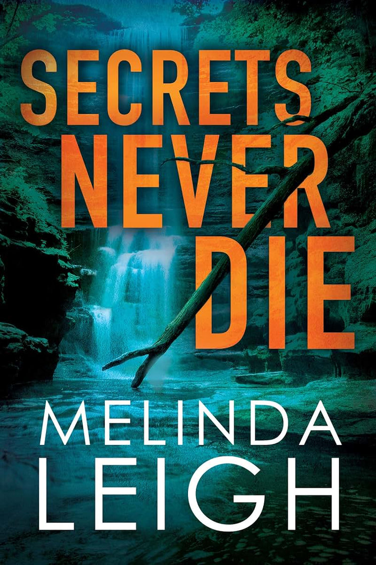 Secrets Never Die (Morgan Dane, 5)