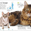 The Everything Book of Cats and Kittens (Everything About Pe