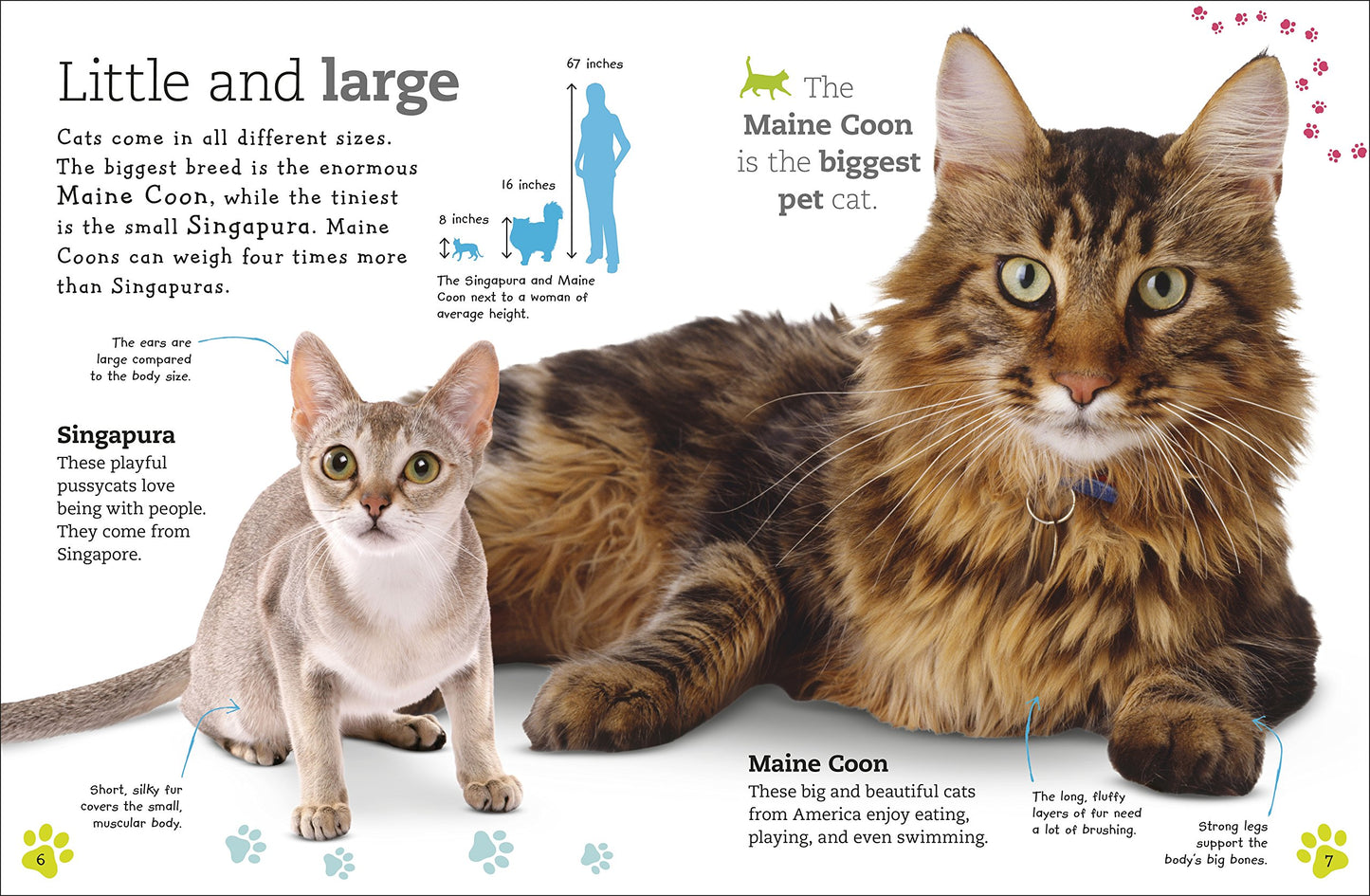 The Everything Book of Cats and Kittens (Everything About Pe