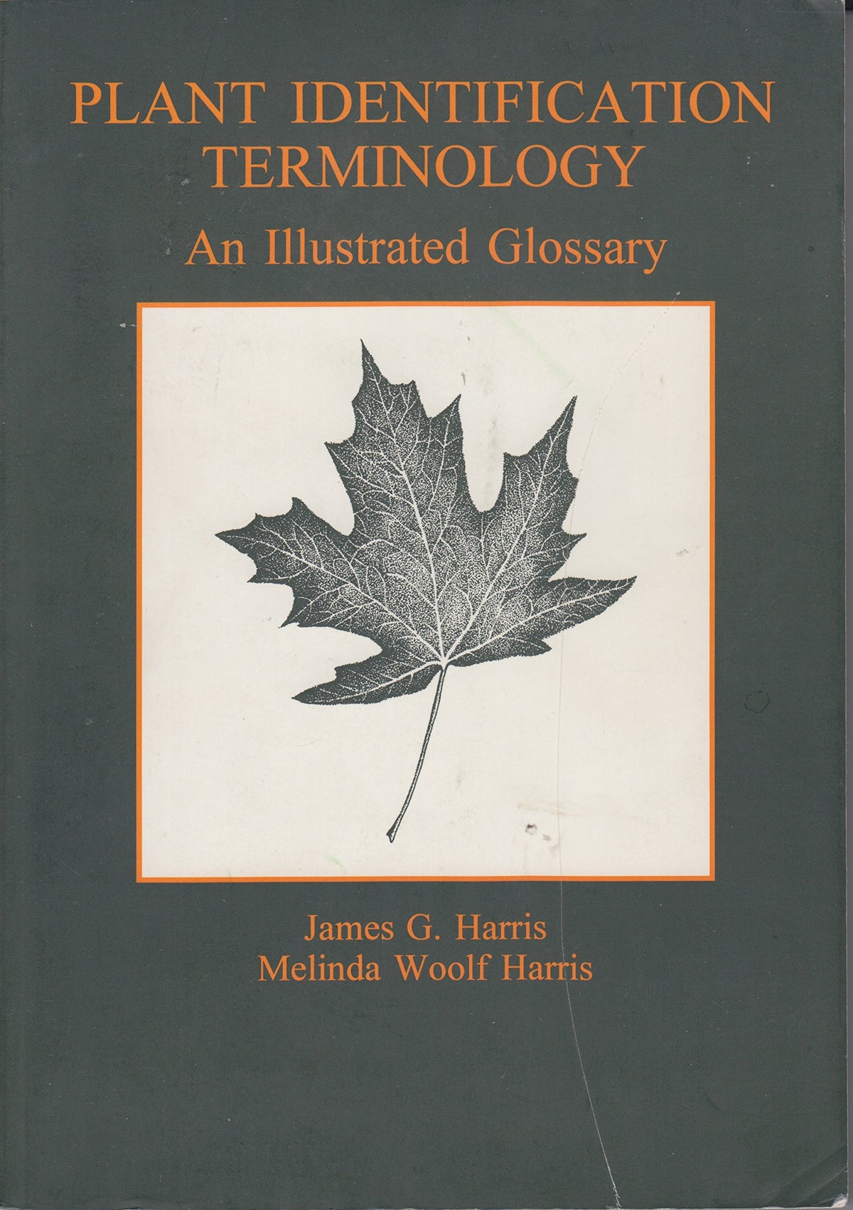 Plant Identification Terminology: An Illustrated Glossary