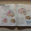 Visual Anatomy & Physiology (2nd Edition) by Martini, Freder