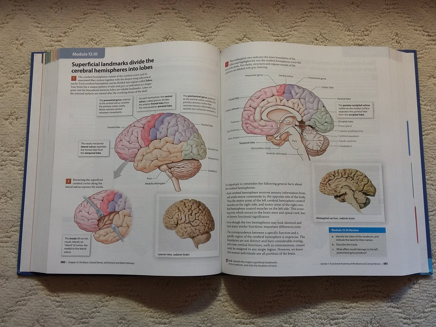 Visual Anatomy & Physiology (2nd Edition) by Martini, Freder