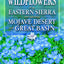 Wildflowers of the Eastern Sierra: and Adjoining Mojave Desert and Great Basin