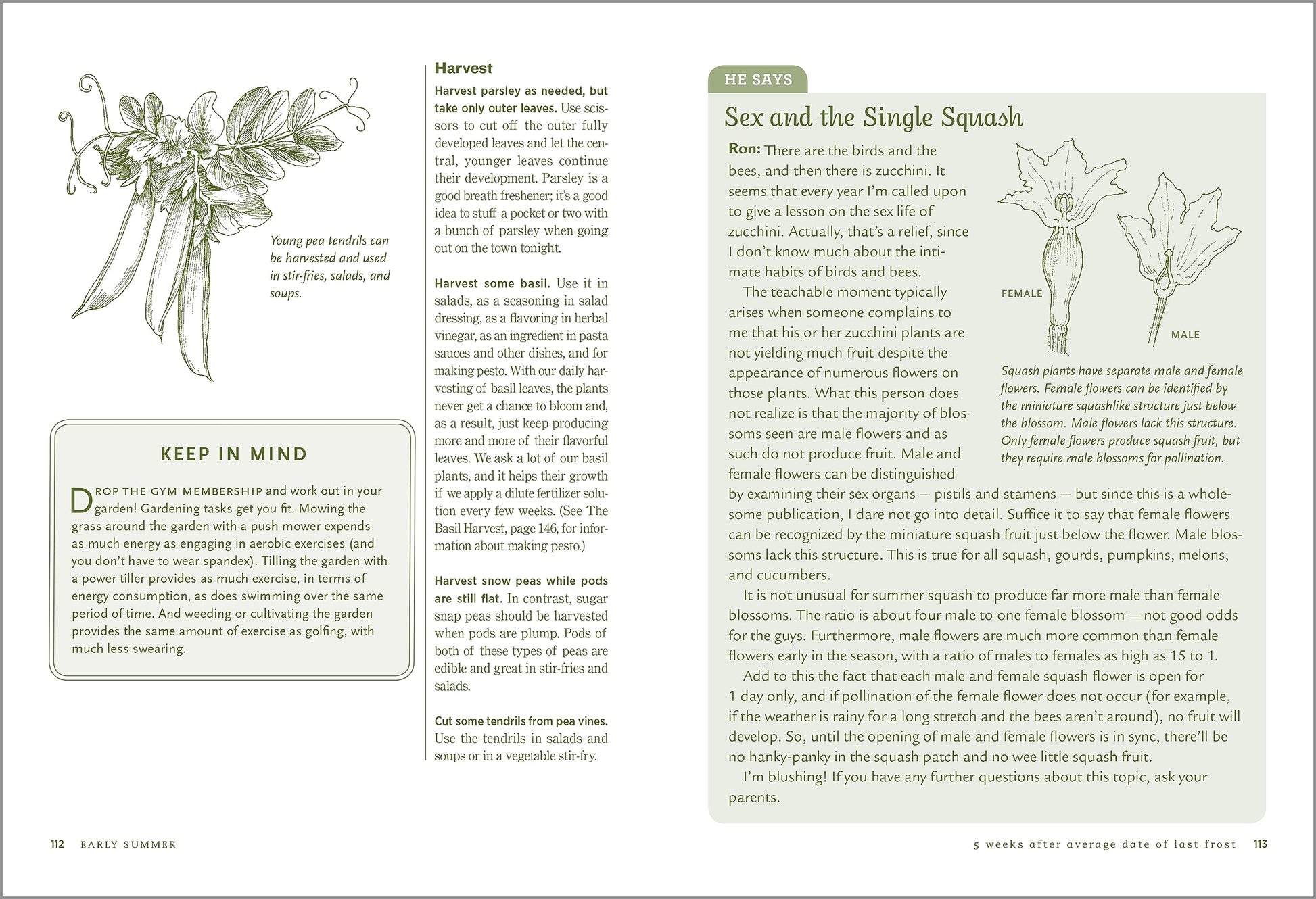 Week-by-Week Vegetable Gardener's Handbook: Perfectly Timed Gardening for Your Most Bountiful Harvest Ever