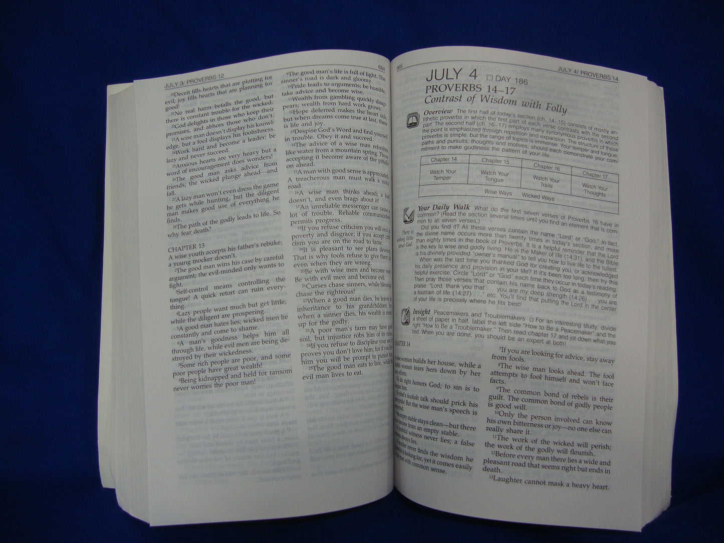 The Daily Walk Bible With 365 Devotional Helps
