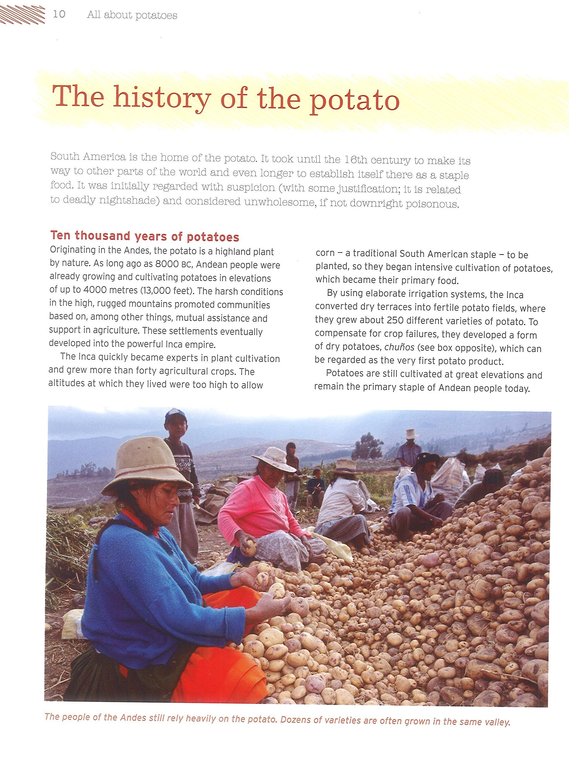 The Great Potato Cookbook