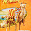 Reading Wonders Reading/Writing Workshop Grade 3 (ELEMENTARY CORE READING)