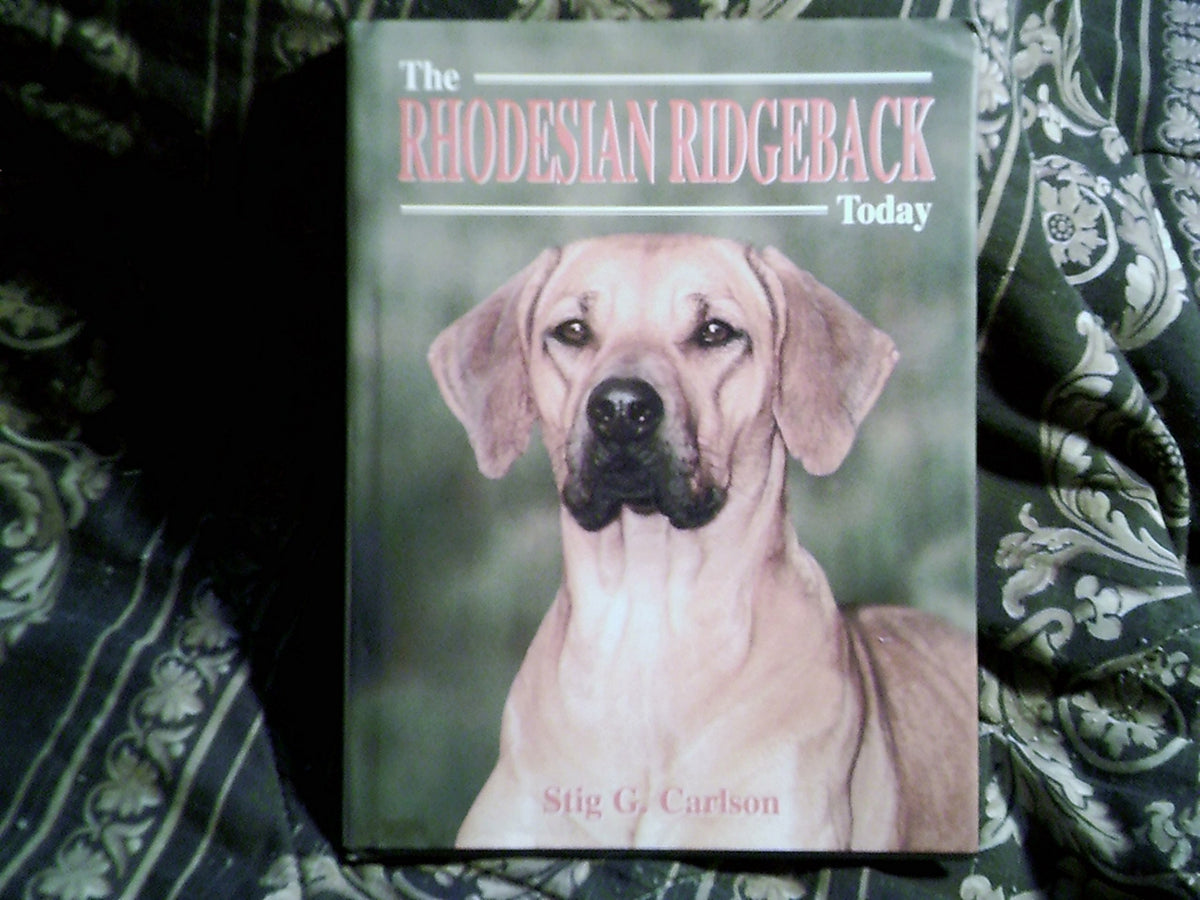 The Rhodesian Ridgeback Today