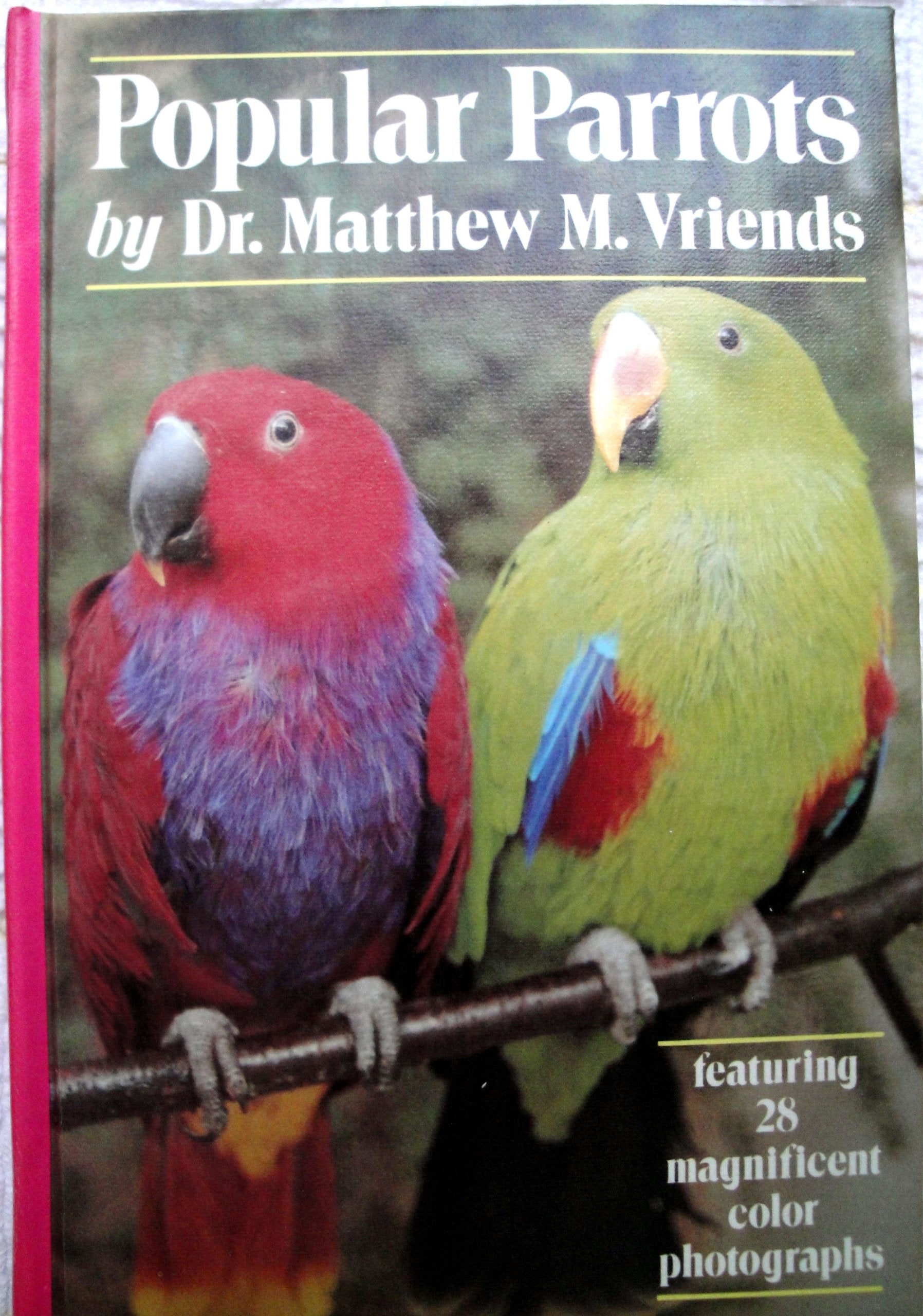 Popular Parrots