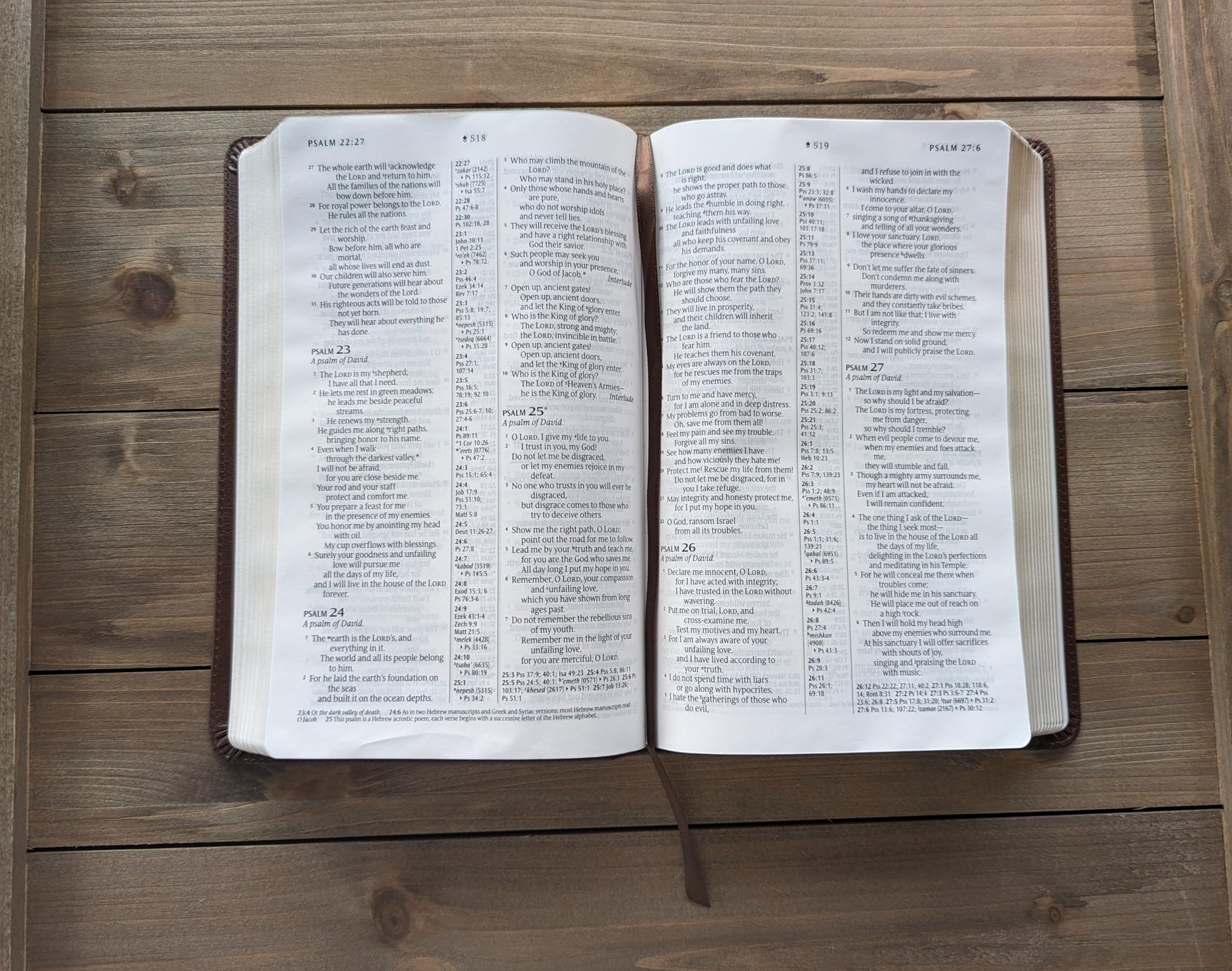 NLT Thinline Center-Column Reference Bible, Filament-Enabled Edition (LeatherLike, Rustic Brown, Indexed, Red Letter)