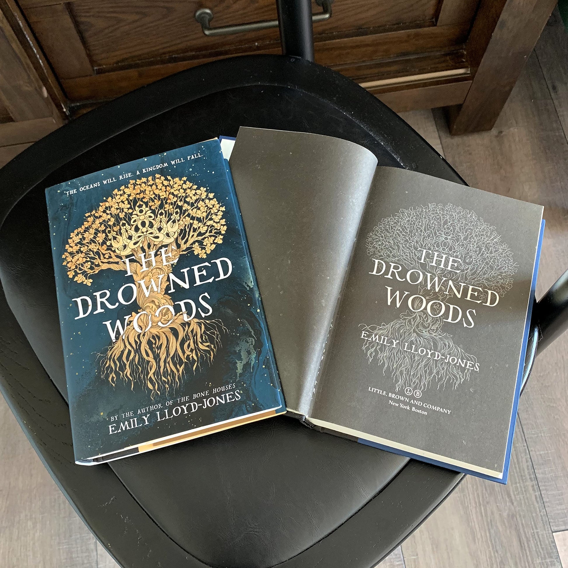 The Drowned Woods