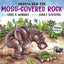 Anansi and the Moss-Covered Rock (Anansi the Trickster)