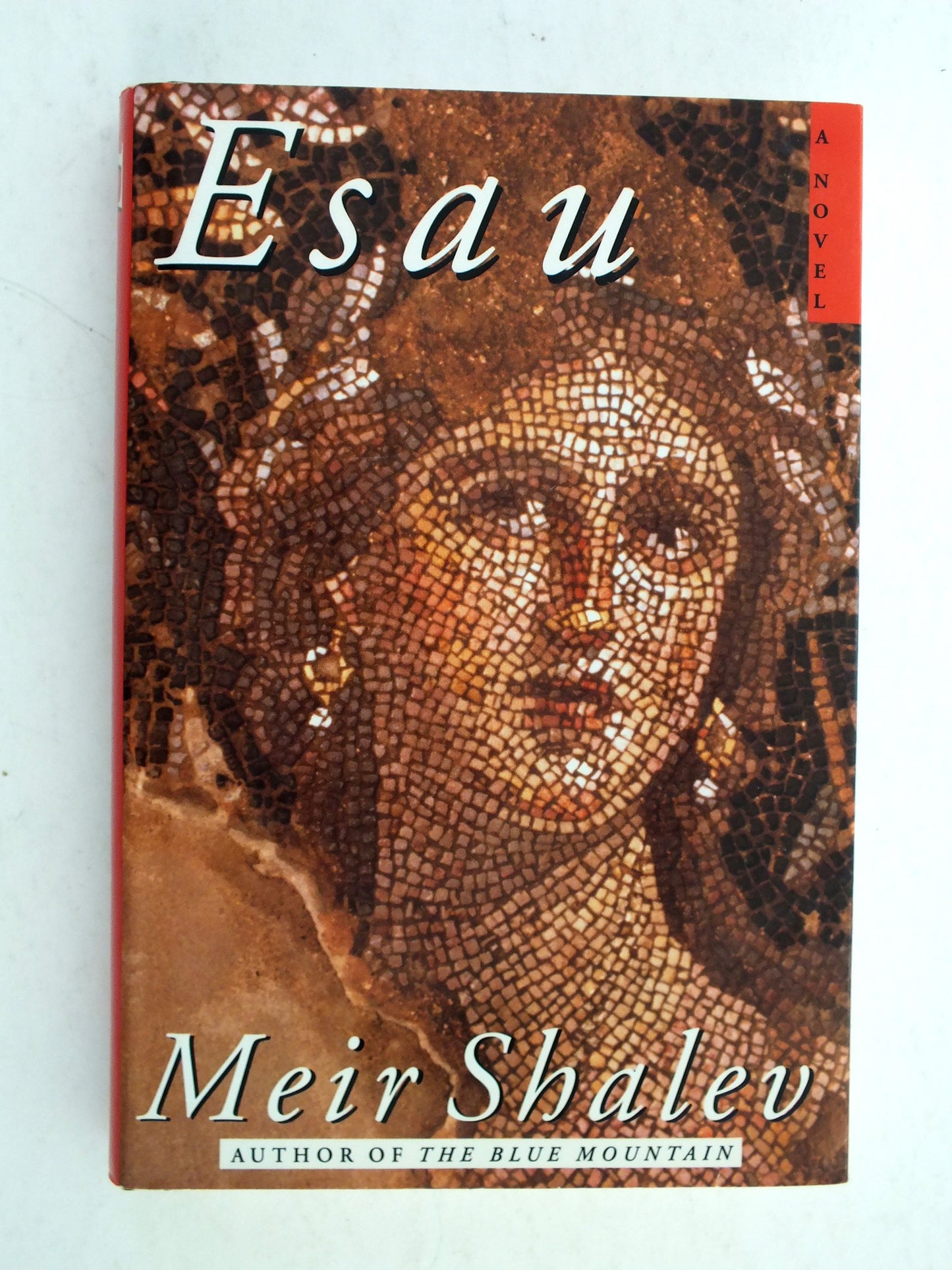 Esau: A Novel by Shalev, Meir