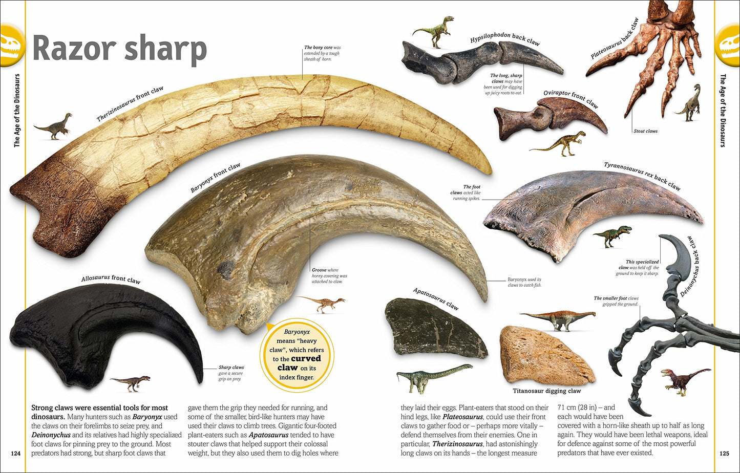 The Dinosaur Book by DK