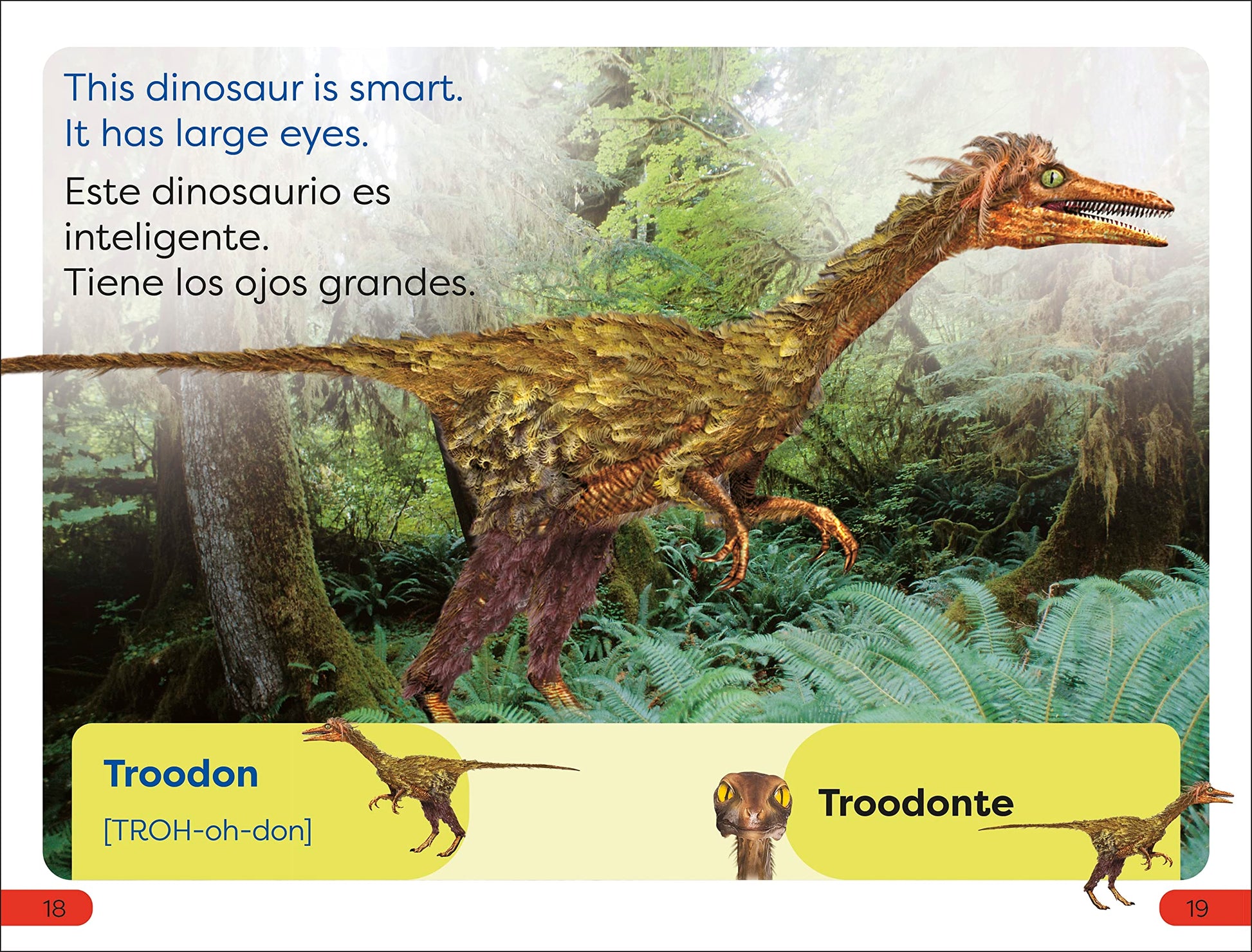 DK Super Readers Pre-Level English-Spanish Bilingual Meet the Dinosaurs - Conoce los dinosaurios