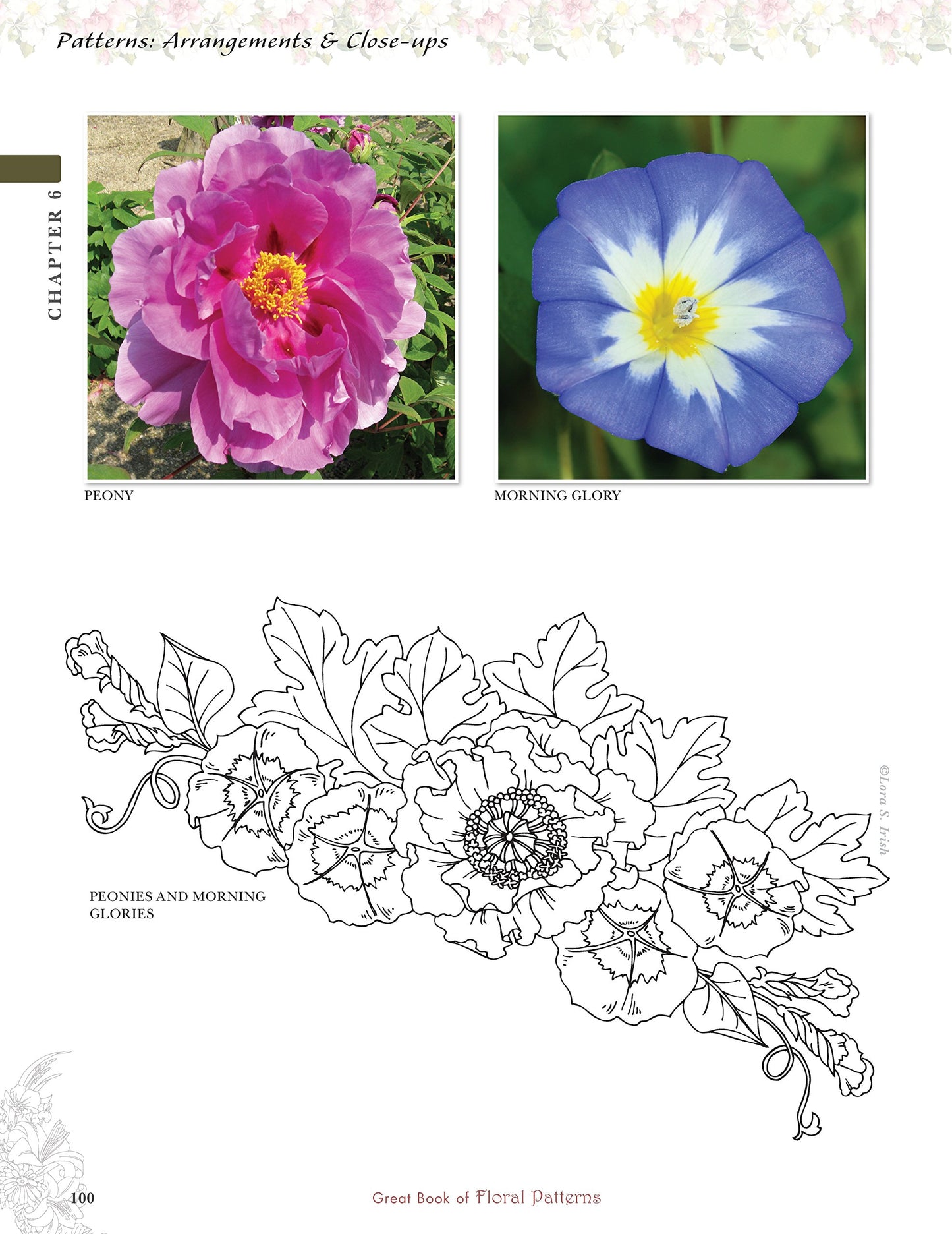 Great Book of Floral Patterns, Third Edition, Revised and Expanded: The Ultimate Design Sourcebook for Artists and Crafters (Fox Chapel Publishing) Over 100 Expertly Drawn Designs from Lora S. Irish