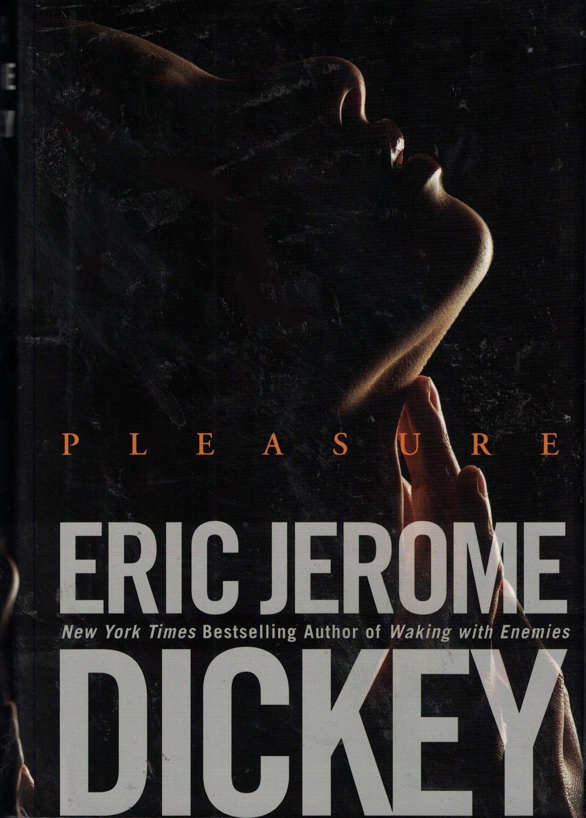 Pleasure