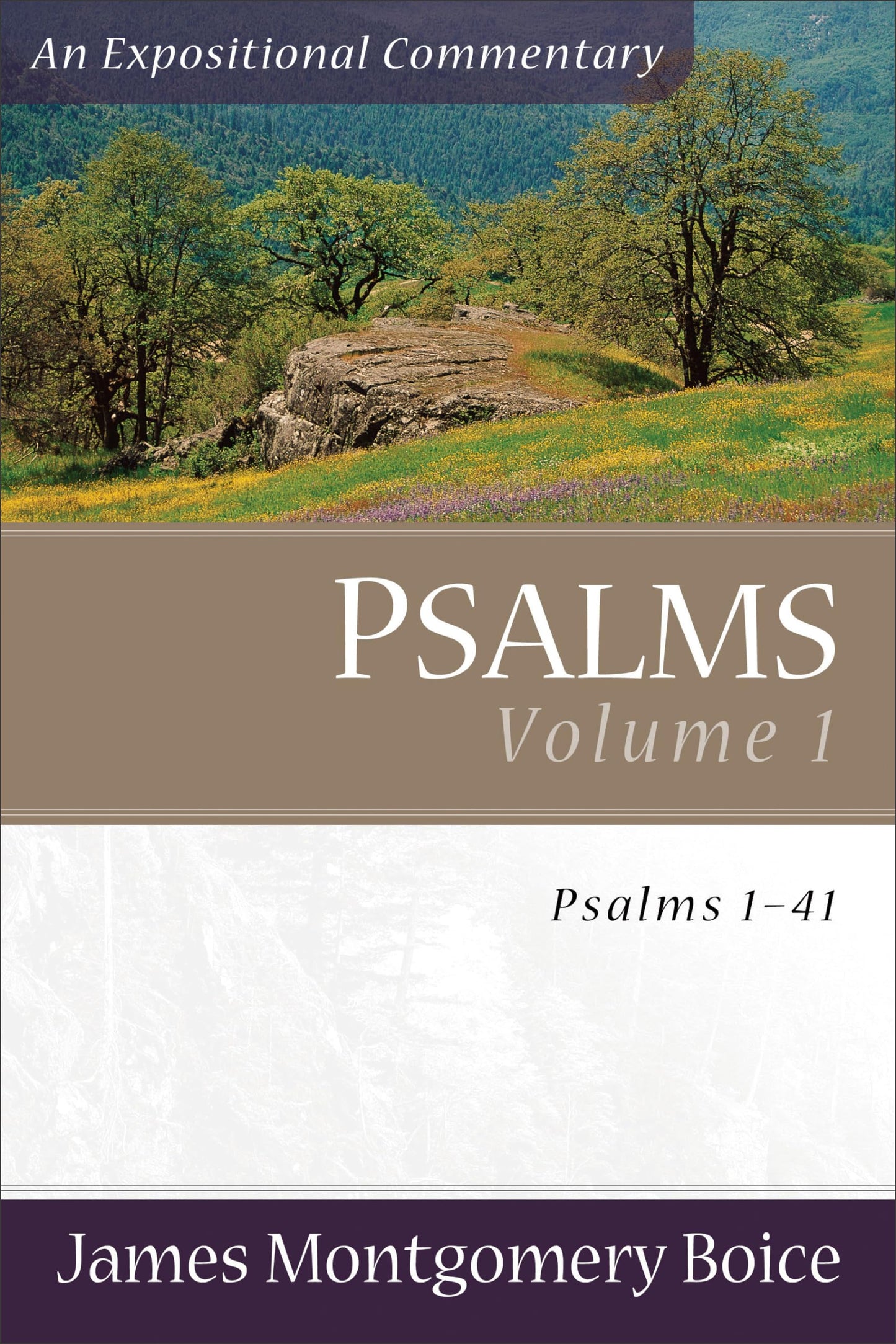 Psalms Voume 1: Psalms 1-41 (An Expositional Commentary)
